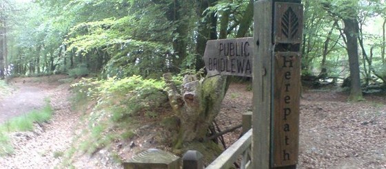 Herepath Trail