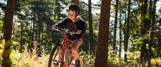 Haldon Hills ride
