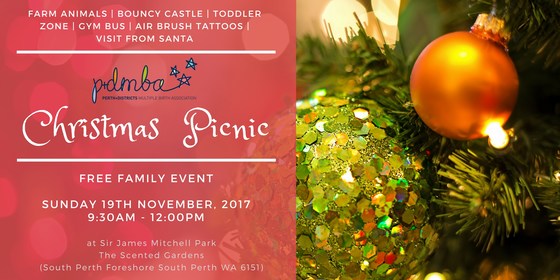 P+DMBA 2017 CHRISTMAS PICNIC