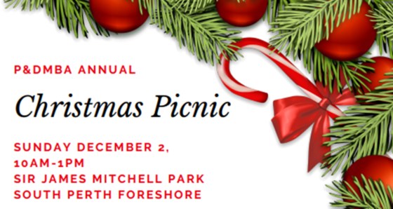 P&DMBA Annual Christmas Picnic