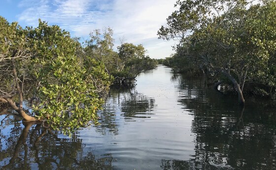Tingalpa-Lota Creek Treasure Hunt paddle