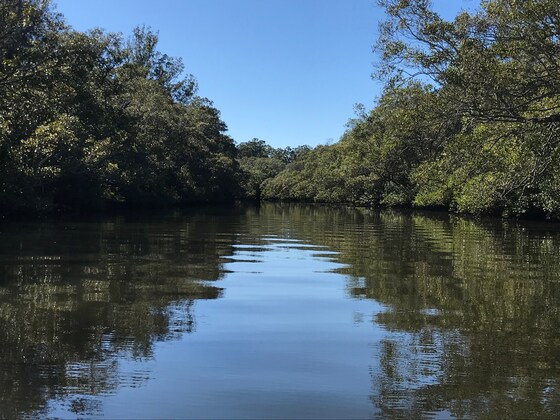 Victoria Point Social Paddle
