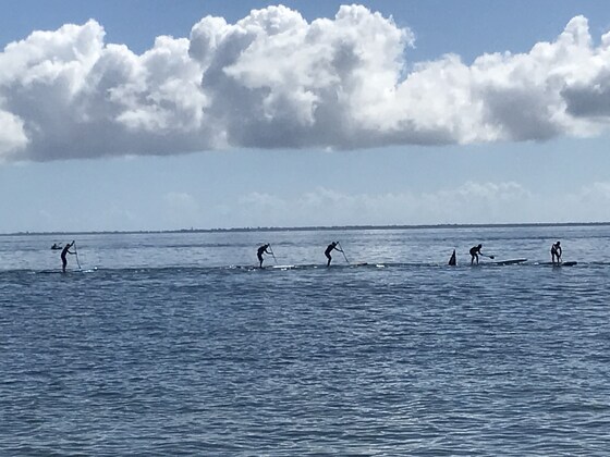 2022 Race Series: Race 2 BOP Shorncliffe