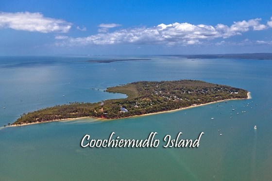 Social Paddle - Coochiemudlo Island