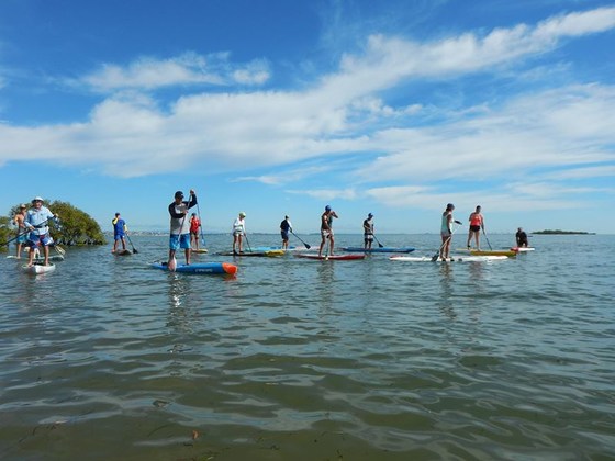 Afternoon Social Paddle