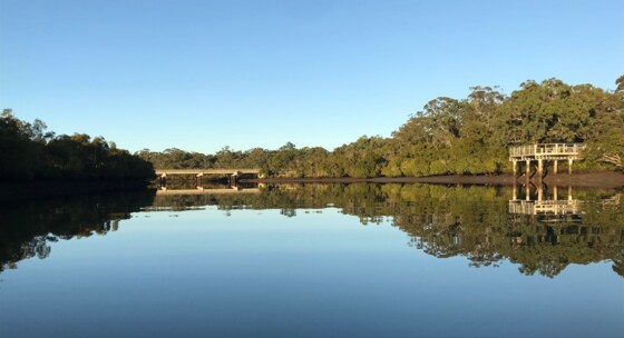 Social paddle: Wynnum Wrecks