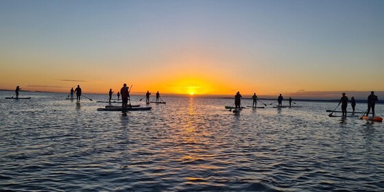 BrisSUP Wello Sunrise Paddle and Breakfast