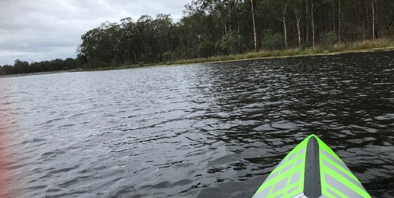 BrisSUP Lake Kurwongbah Social paddle