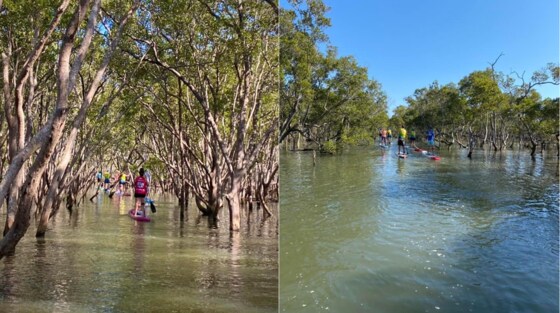 Jacobs Well Social Paddle