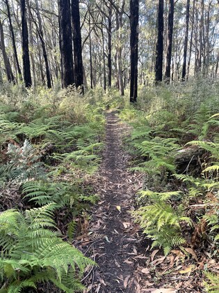 YRMTB Social Ride