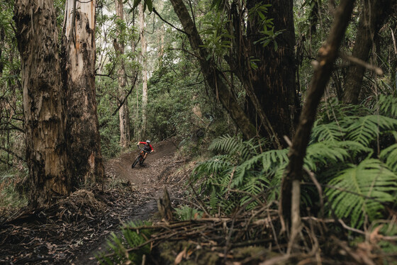 YRMTB Warburton Bike Park Social ride 