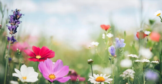 Spring Garden Party 2023