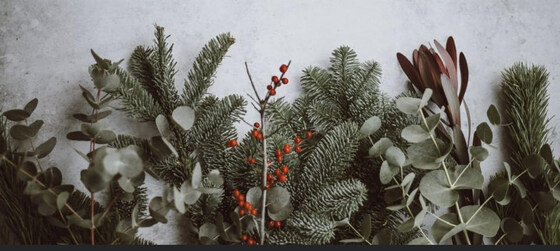 IWMBA End of Year Celebration