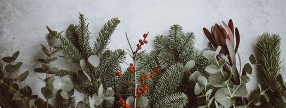 IWMBA End of Year Celebration