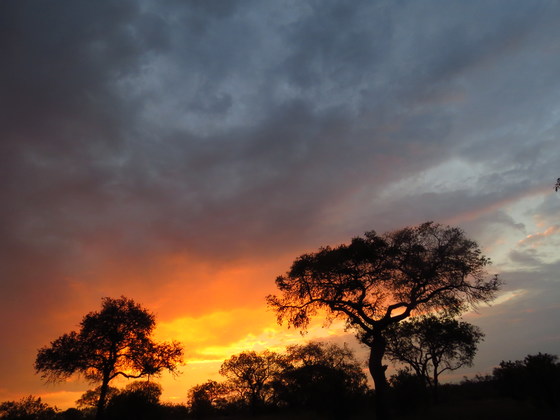 NIGHT SKY    An Embellishing Workshop with Pamella Thomas