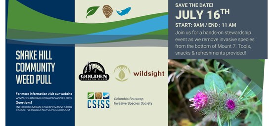 Snake Hill Community Weed Pull