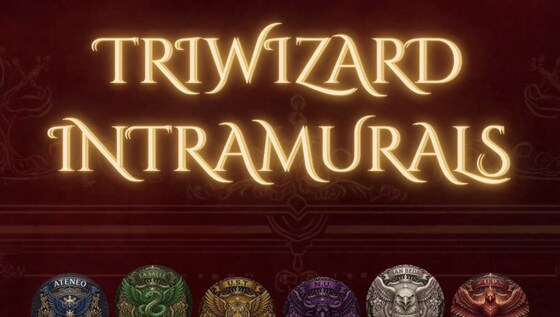 THE TRIWIZARD INTRAMURALS