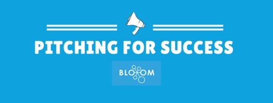 Pitching for Success