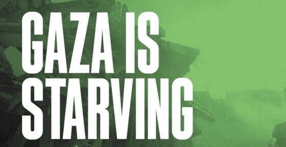 Public meeting: Gaza is Starving - how could the world let this happen? 